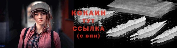 стаф Тавда