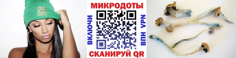 OMG онион  Светлогорск  Псилоцибиновые грибы GOLDEN TEACHER 